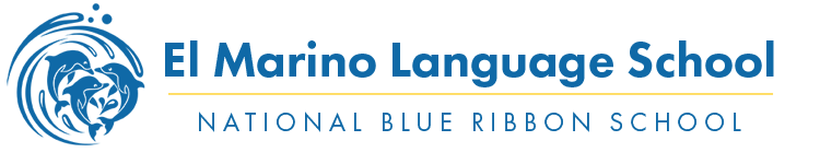 Ccsd ebt cards image